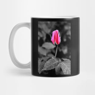 Rose bud Mug